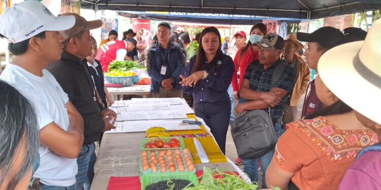 Ferias del Agricultor brindan oportunidades comerciales para productores de Quiché