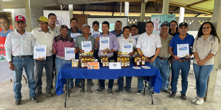 Finaliza Diplomado Apícola en Sayaxché