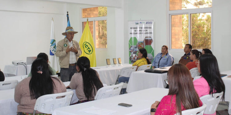 Fortalecen capacidades y conocimientos de extensionistas de Chimaltenango