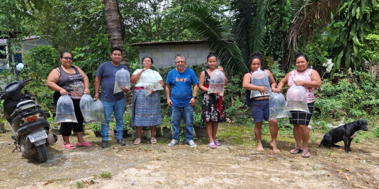 Fortalecen producción acuícola en Poptún