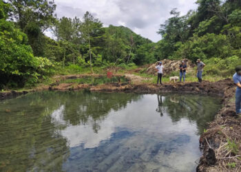 Fortalecen producción artesanal de tilapia en Poptún, Petén