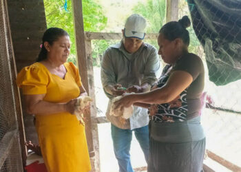 Fortalecen producción avícola en comunidades de Melchor de Mencos