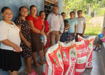 Fortalecen producción de 48 minigranjas avícolas de Petén