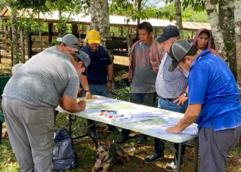 Ganaderos de Petén avanzan hacia una producción sostenible