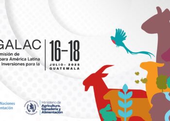 Guatemala sede de cumbre regional de ganadería sostenible