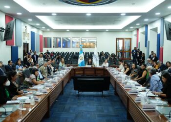 CONASAN afina ruta de acción para el 2026