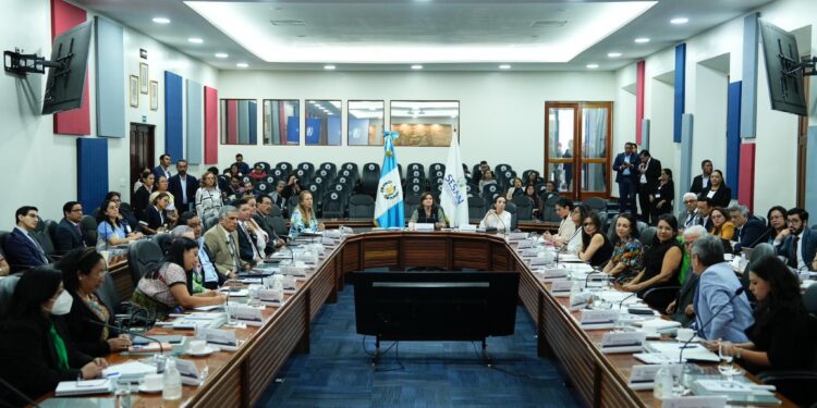 CONASAN afina ruta de acción para el 2026