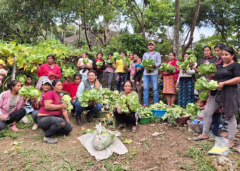 Huerto comunal en Jalapa continúa dando frutos y fortaleciendo la seguridad alimentaria