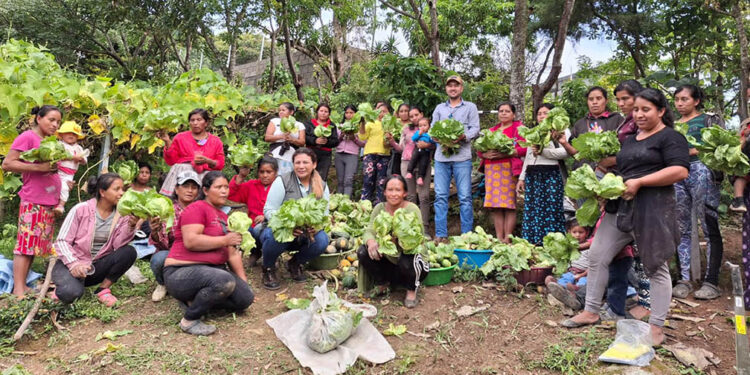 Huerto comunal en Jalapa continúa dando frutos y fortaleciendo la seguridad alimentaria