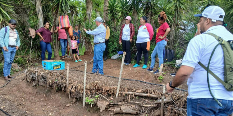 Huerto comunal en Zacapa marca ruta hacia la seguridad alimentaria