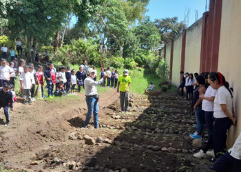 Huerto escolar de San Miguel Petapa: clave para la seguridad alimentaria y aprendizaje