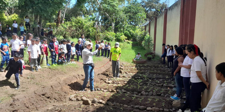 Huerto escolar de San Miguel Petapa: clave para la seguridad alimentaria y aprendizaje