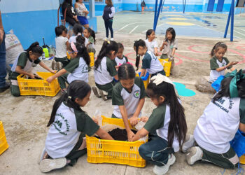 Huertos escolares transforman la educación en sostenibilidad y autoconsumo