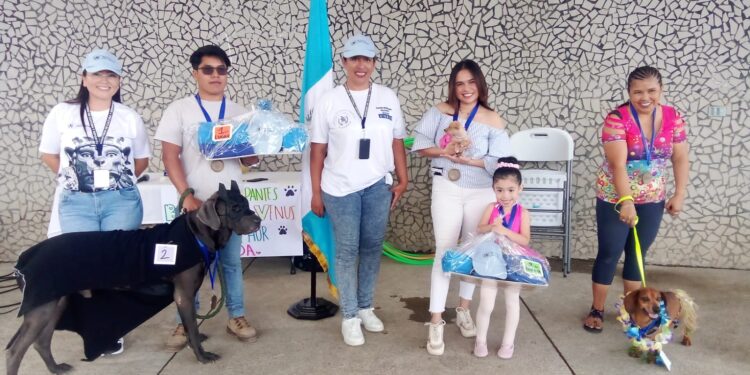 Perros disfrazados y convivencia familiar llenan de alegría Cobán