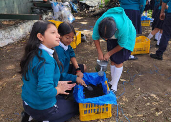 Implementan huerto escolar en escuela urbana capitalina
