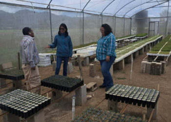 Impulsan emprendimiento en procesamiento de frutas