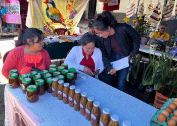 Impulsan emprendimientos de integrantes de los CADER