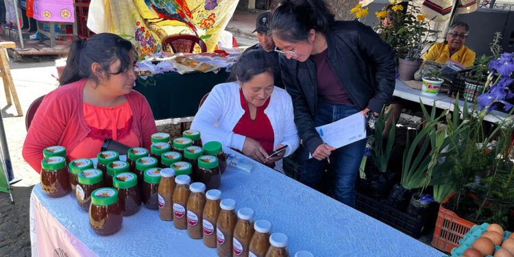 Impulsan emprendimientos de integrantes de los CADER