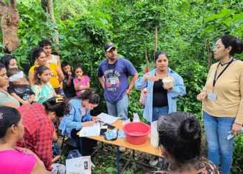 Impulsan huertos comunales y alimentación saludable en Sansare