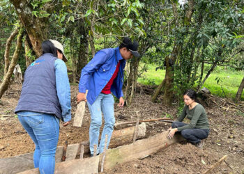 Impulsan huertos familiares en Rabinal como estrategia contra la desnutrición infantil