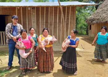 Impulsan la producción pecuaria en comunidades rurales de Petén