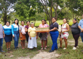 Impulsan producción avícola en Petén para combatir inseguridad alimentaria