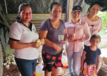 Jornada de vacunación avícola en El Chal