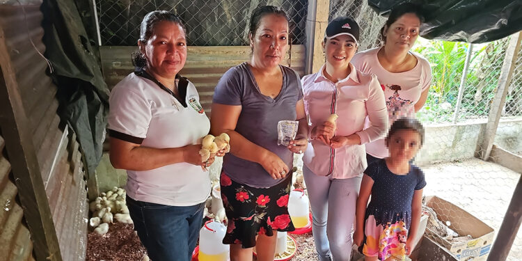 Jornada de vacunación avícola en El Chal