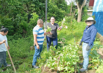 La base para la nutrición de San Pedro Ayampuc es el Huerto comunal