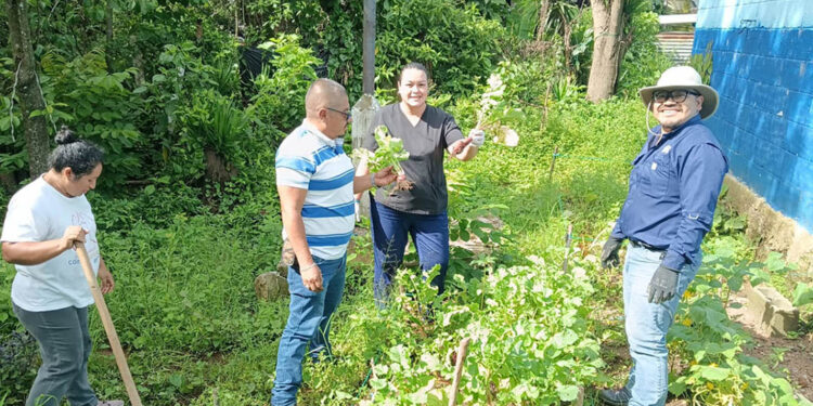 La base para la nutrición de San Pedro Ayampuc es el Huerto comunal