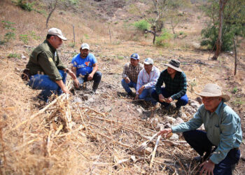 La diversidad de suelos es una oportunidad para el desarrollo agrícola y rural