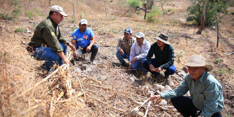 La diversidad de suelos es una oportunidad para el desarrollo agrícola y rural