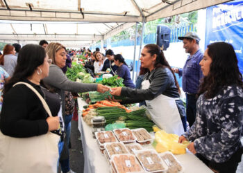 Lo mejor del campo llegará a zona 5
