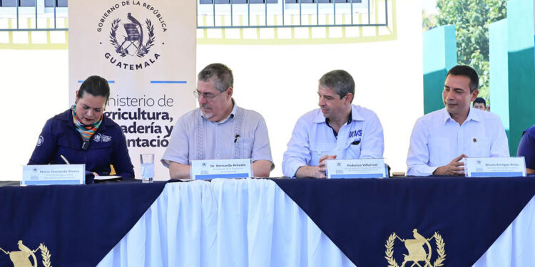 MAGA e IICA inician nueva etapa de trabajo en favor del sector agrícola rural