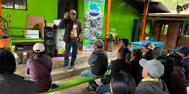 Mejoran capacidades de productores de tomate de San Marcos