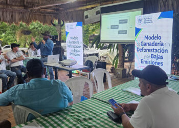 Modelo de Ganadería llega a Santa Ana, Petén