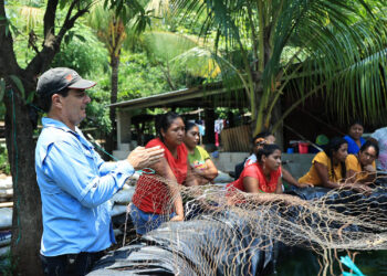 Producción de tilapia en armonía con el ambiente