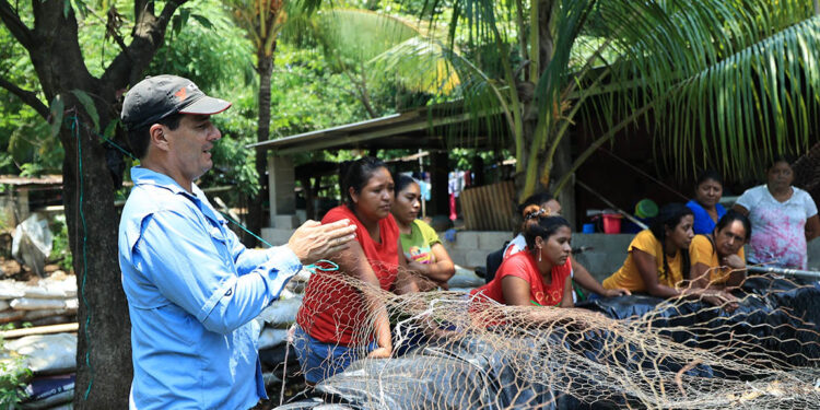 Producción de tilapia en armonía con el ambiente