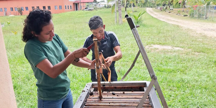 Productor apícola de Machaquilá conoce técnicas de fundición de panales