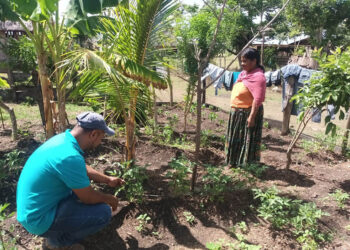 Productores de La Cebada reciben asistencia técnica