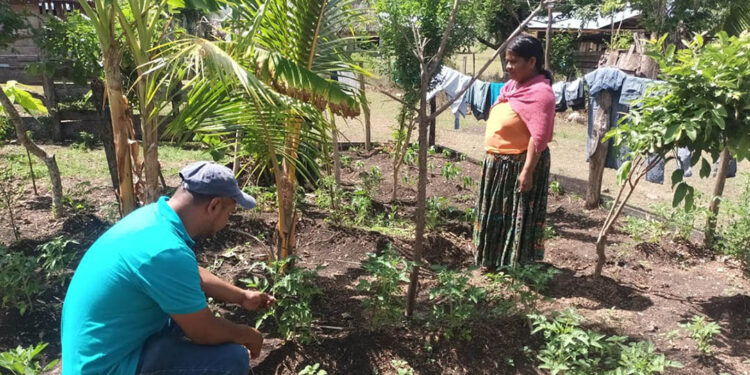 Productores de La Cebada reciben asistencia técnica