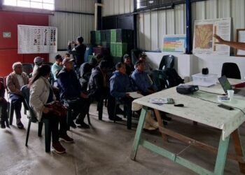 Productores de aguacate aprenden manejo de plagas cuarentenarias