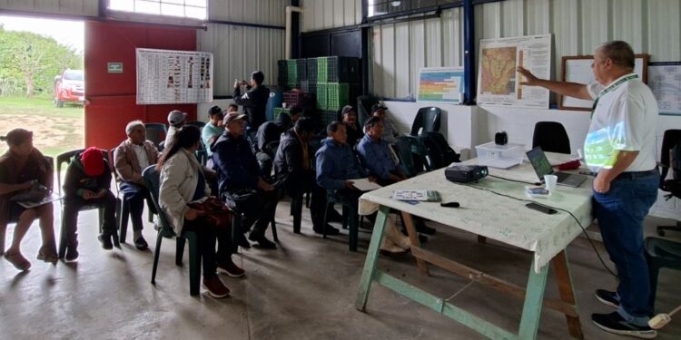 Productores de aguacate aprenden manejo de plagas cuarentenarias