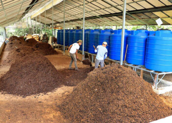 Productores fortalecen agricultura sostenible con abono orgánico