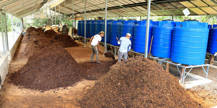 Productores fortalecen agricultura sostenible con abono orgánico