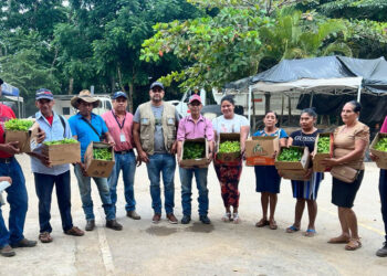 Promotores de los CADER reciben pilones para huertos comunitarios