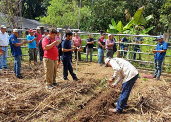 Promueven producción de alimentos sanos en huertos biofortificados de Retalhuleu