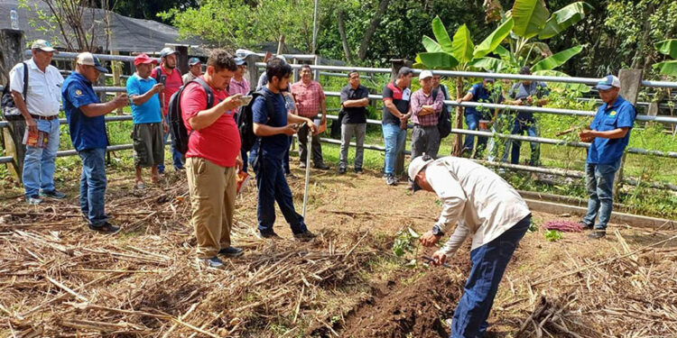 Promueven producción de alimentos sanos en huertos biofortificados de Retalhuleu