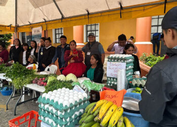 Promueven producciones para optimizar economía en Alta Verapaz