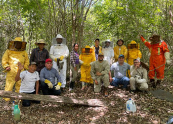 Realizan diplomado en Turismo Apícola